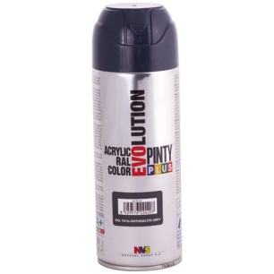 Pinty plus évolution bbe 400ml gris anthracite mat ral 7016 - NOVASOL