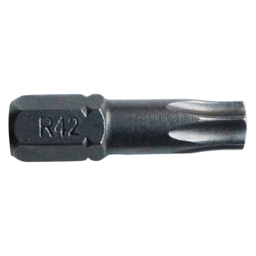 Embout torx T30 l.25mm forgé blister de 3 - RISS