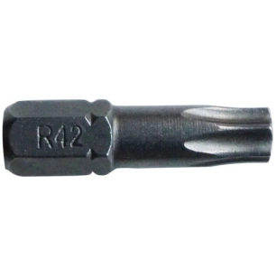 Embout torx T30 l.25mm forgé blister de 3 - RISS