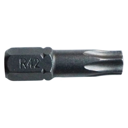Embout torx T25 l.25mm forgé blister de 3 - RISS