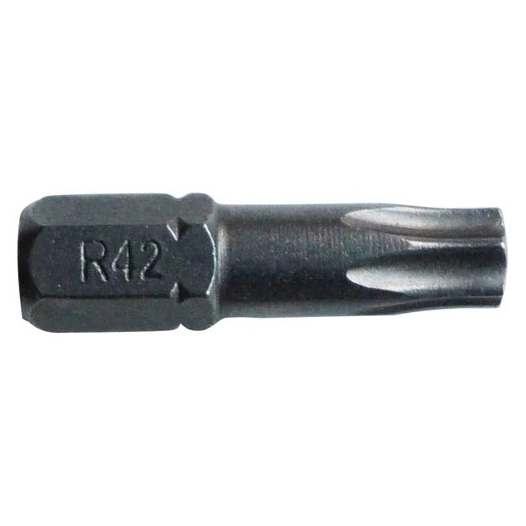 Embout torx T20 l.25mm forgé blister de 3 - RISS