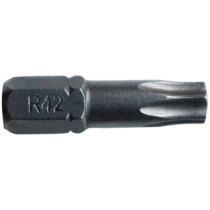 Embout torx T20 l.25mm forgé blister de 3 - RISS