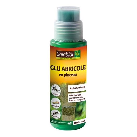 Glu arboricole en pinceau 200ml - SOLABIOL
