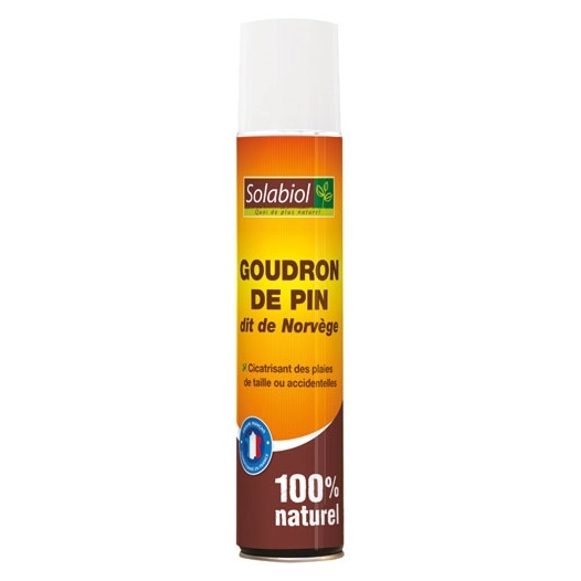 Goudron de pin aérosol 200ml - SOLABIOL