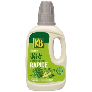 Engrais rapide plantes vertes et d'intérieur 500ml /nc - KB