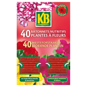 Bâtonnets plantes fleurs kb x40 bpf /nca - KB