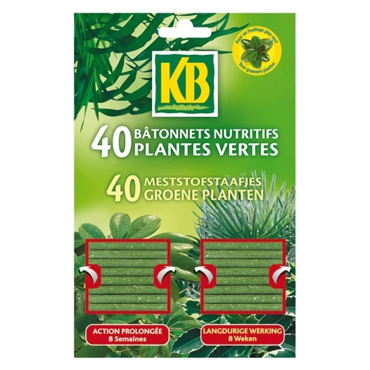 Bâtonnets plantes vertes kb x40 bpv /nca - KB