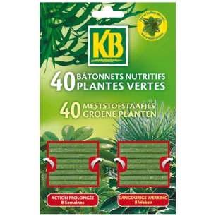 Bâtonnets plantes vertes kb x40 bpv /nca - KB