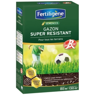 Gazon super résistant Label Rouge 80m² 2kg /nc - FERTILIGENE