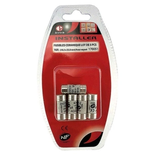 Carte de fusibles à voyant 16A x 5 pièces - EVOE