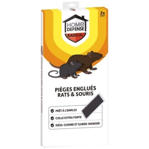 Pièges rats et souris englués x2 /nc - HOME DEFENSE