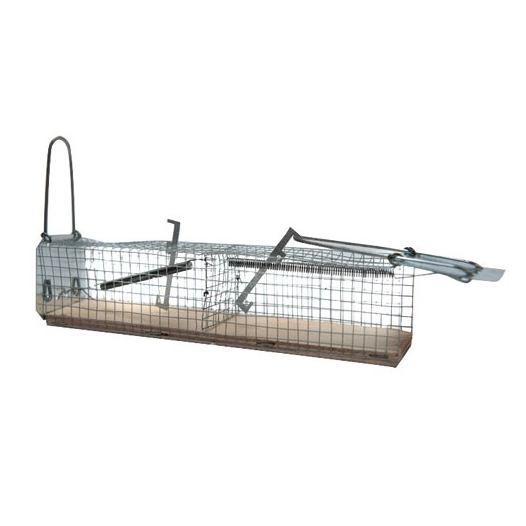 Nasse à souris 2e socle bois 113 - MASY