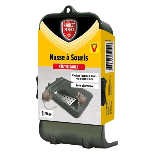 Piège nasse 4 souris /nc - PROTECT EXPERT