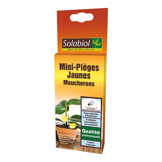 Mini pièges jaunes x6 - SOLABIOL
