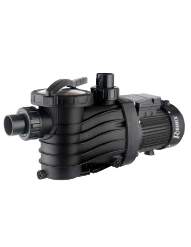 Pompe de piscine avec pré filtre 1000W, 21000 L/h max - RIBIMEX
