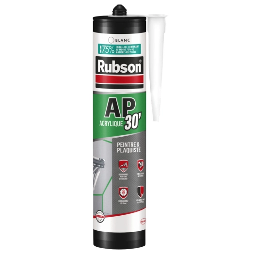 Mastic Acrylique AP30 Spécial Peintre Blanc 300ml - RUBSON