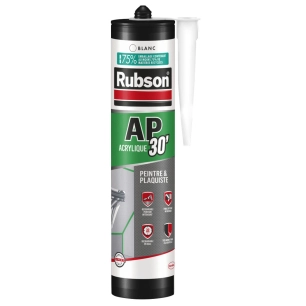 Mastic Acrylique AP30 Spécial Peintre Blanc 300ml - RUBSON