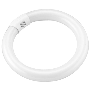 Ampoule Tube Circline Blanche T9 CW - 150148 - 22W - 1124Lm - 216mm - PROLIGHT
