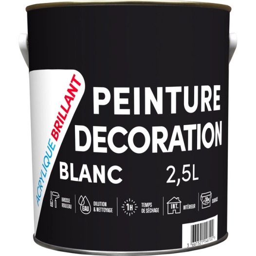 Peinture Acrylique brillante 2.5 litres blanc - TDP RECA