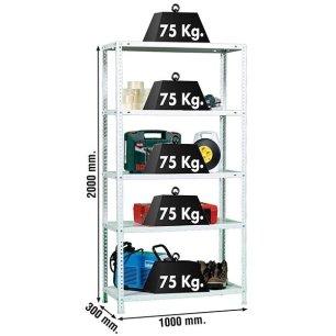 Etagère légère avec vis ADVANTAGE PLUS 5/300 BLANC BLANC 2000x1000x300 - SIMONRACK