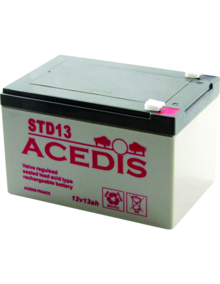batterie plomb 12v13,3ah