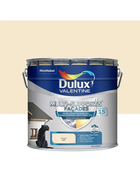 Peinture Façade Meulière 10L Multi-supports, haute résistance intempéries - CABELCON