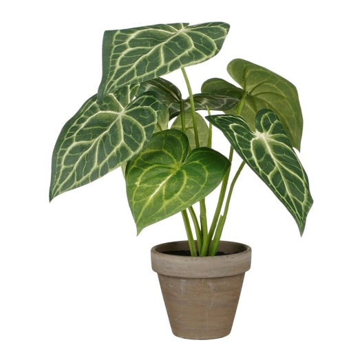 Plante Artificielle Caladium 'OREILLE D'elephant' Verte Avec Pot Ø21x28cm