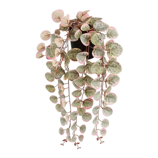 Ceropegia Woodii Plante Artificielle À Suspendre 'COEUR Collier' Rose Avec Pot.