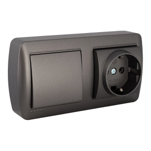 Base Fixe 2p+T 16a 250v~ + Interrupteur / Interrupteur 10ax 250v~. De Surface. Série Murale Mur63ngu Solera