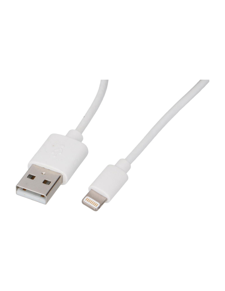 Câble Usb Lightning All Ride