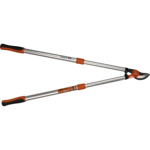 Ébrancheur Expert Télescopique