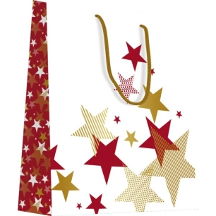 Boîte De 20 Sacs - Motif Métallique Or - Noel