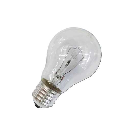 ampoule incandescente standard claire 100w e27 (uniquement à usage industriel)