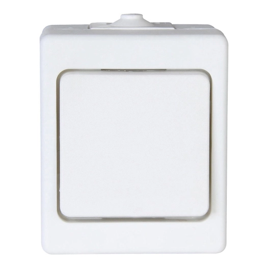 interrupteur bipolaire surface 10xa 250v~, blanc