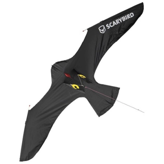 cerf volant scarybird