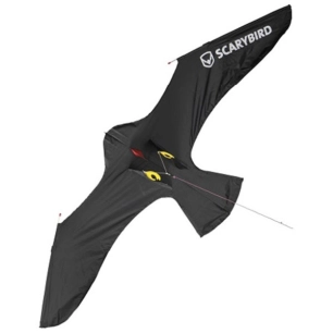cerf volant scarybird