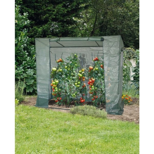 serre nort tomatillo 2x0,77x1,48 ve x6