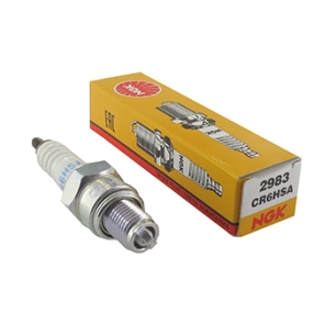 bougie d'allumage ngk modèle cr6hsa.