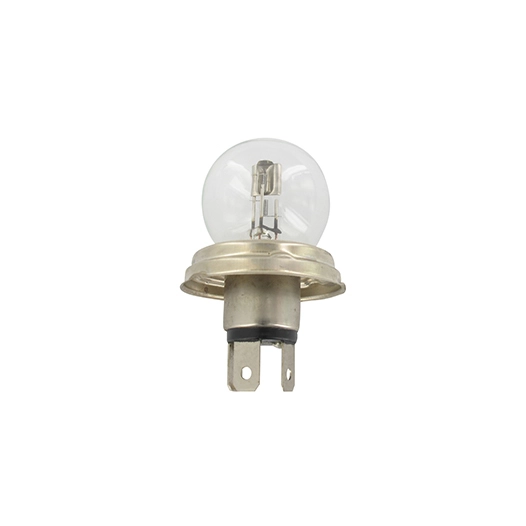 ampoule 12v - 45/40w (code européen)
