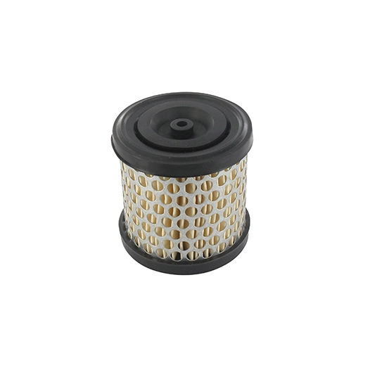 filtre à air adaptable pour briggs & stratton: series 60100, 80200, 80300, 80400, 81200, 81300, 81400, 82200, 82300, 82400, 9250