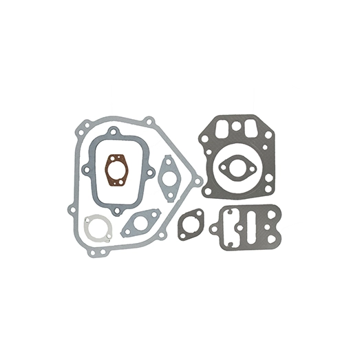 pochette de 10 joints pour la révision des moteurs briggs & stratton, modèles 6,5 cv séries 110402, 110412, 110415, 110417. remp