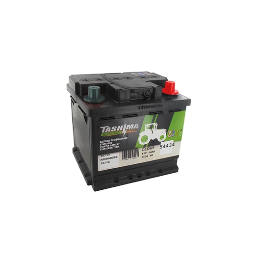 batterie de démarrage tashima 12v - 50a + à droite - l: 208mm, l: 175mm, h:190mm