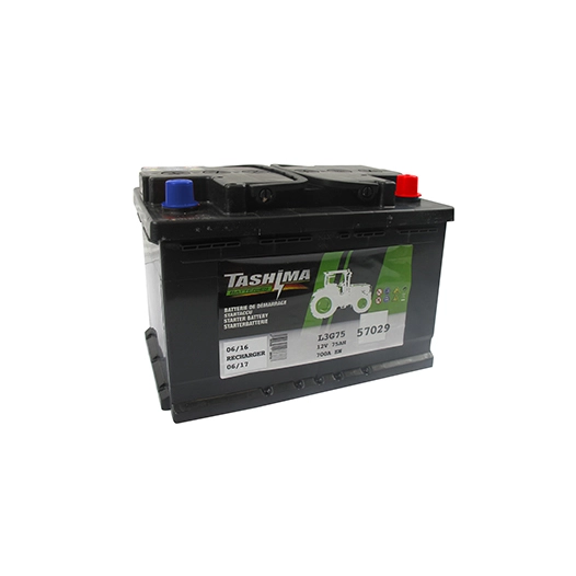 batterie tashima 12v - 75a + à droite adaptable pour kubota modèles st30- alpha- st35- b2150 - l: 278mm, l: 175mm, h: 190mm
