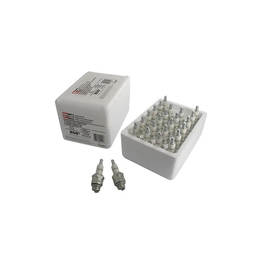 pack atelier de 24 bougies d'allumage champion rj19lm