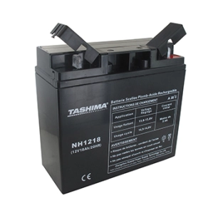 batterie motoculture gel/agm tashima 12v, 18a adaptable pour castelgarden, honda et stiga. l: 181, l: 76, h: 167, + à droite. -