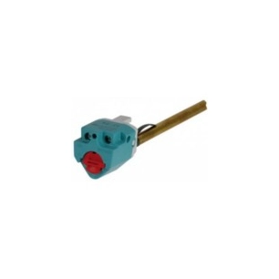 thermostat à sonde non embrochable type tsd, l de canne: 270mm. -pl
