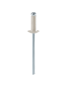 Rivets Blanc Ø4.0 x 10mm - Boite 50 + forêt - RAPID