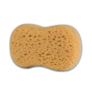 éponge synthétique os - lugdunum spongia