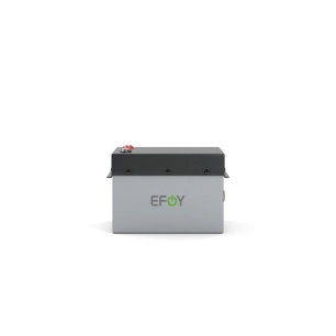 batterie lithium 12v 70 ah - efoy