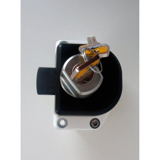 serrure a clé - master / vano - 2000-2010 / daily - 2000-2014 - héos